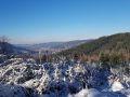 Camping Vosges Vologne Gérardmer Lac Cascade nature vert clame authentique rivière arbre sapin montagne hohneck champ de roche 